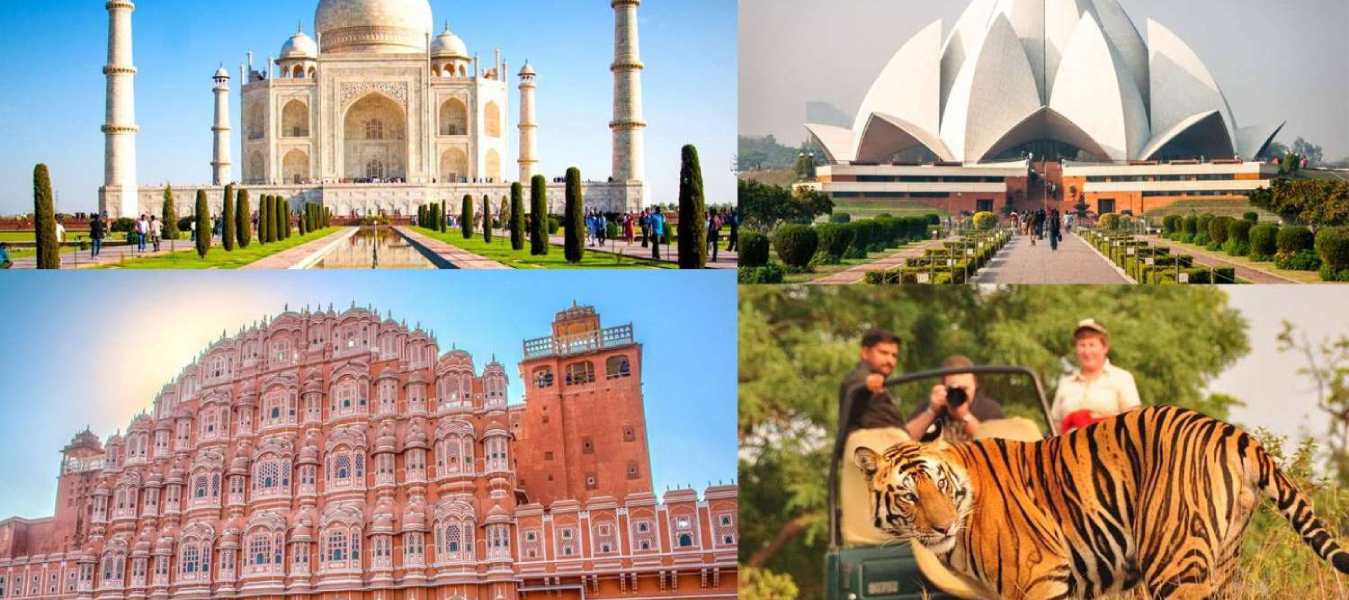 Golden Triangle Tour with Wildlife Safari