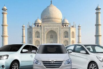 Same Day Tours