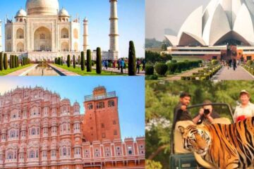 Golden Triangle Tour with Wildlife Safari